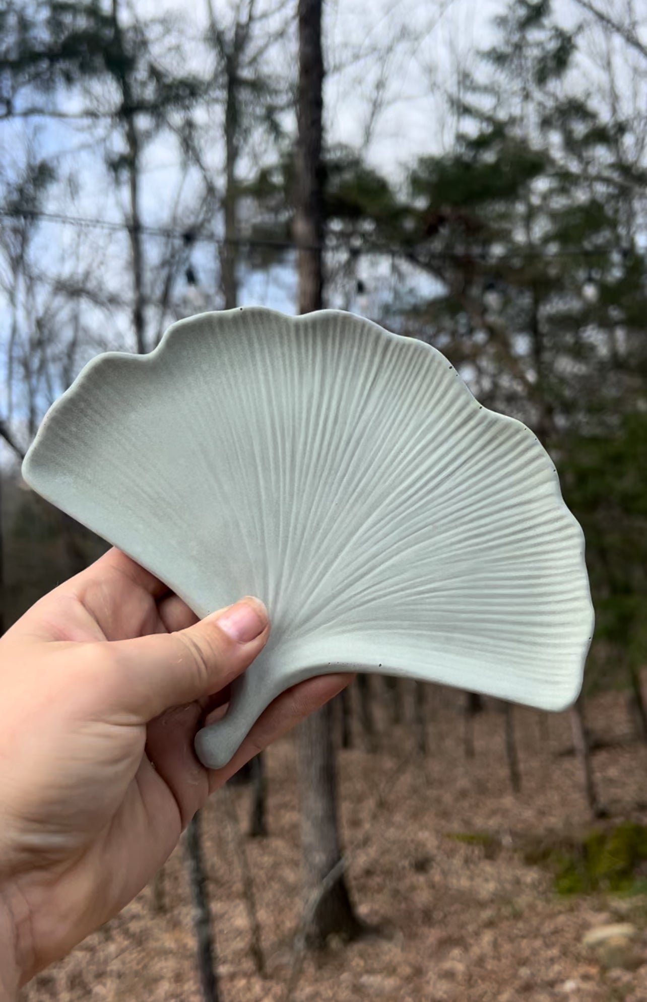 Ginkgo Leaf Tray