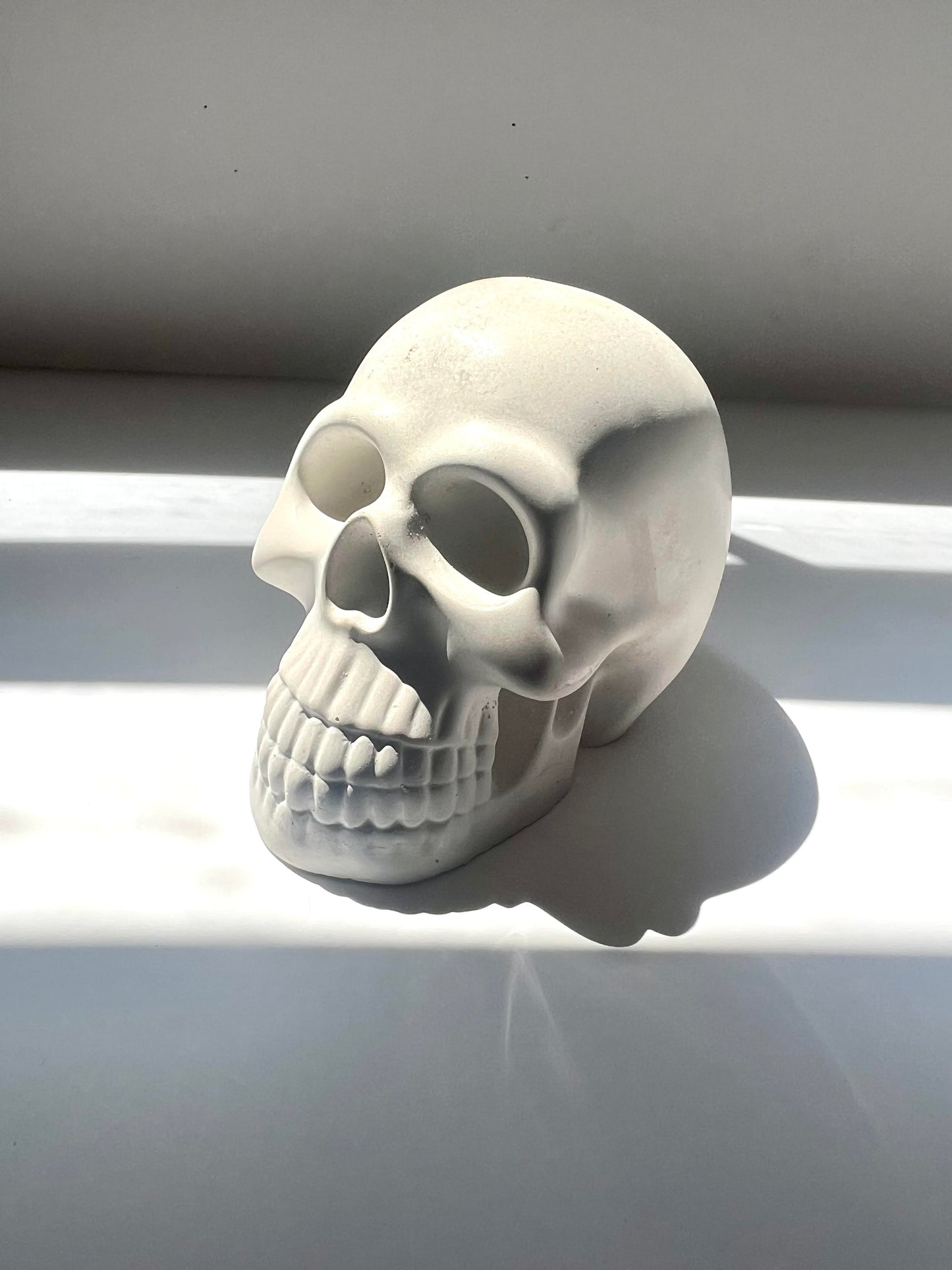 Skull Decor