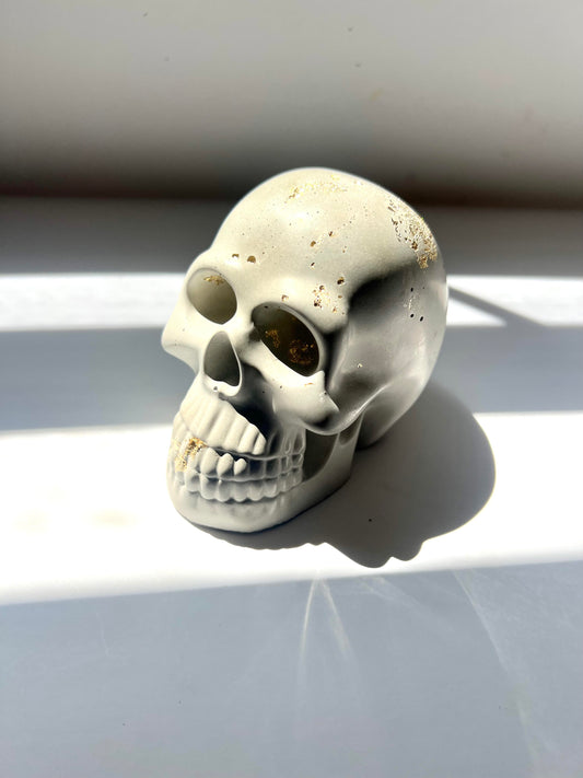 Skull Decor